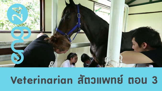 Veterinarian สัตวแพทย์ ตอน 3